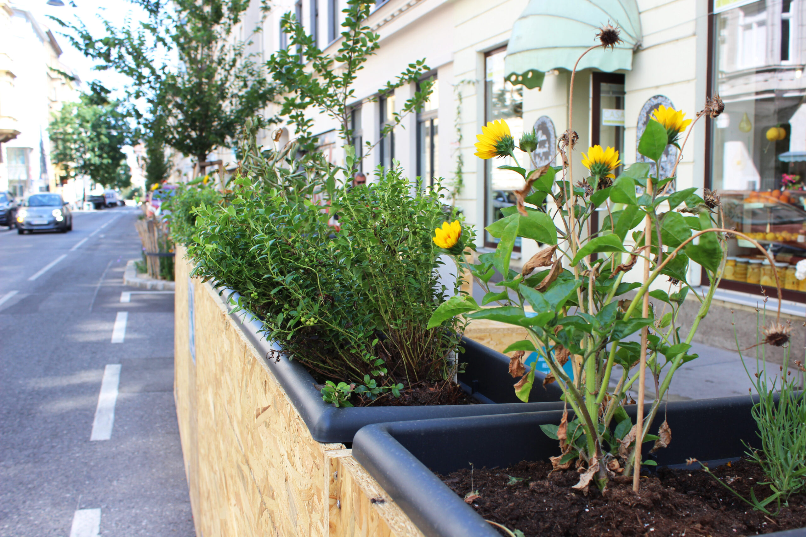 Die Mo.Hub Aufenthaltsoase im 7. steht!